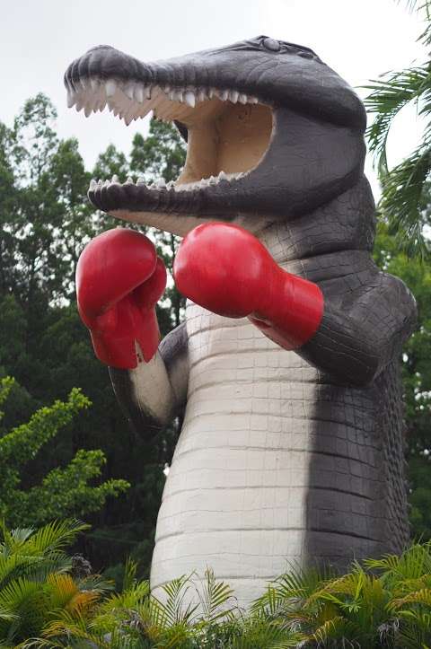 Photo: The Big Boxing Crocodile